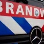 Twee busjes en een auto verwoest bij brand op industrieterrein in Roosendaal