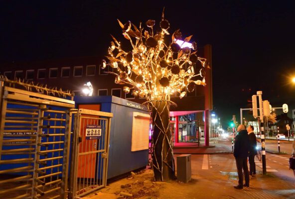 ROZENBOOM BRENGT LICHT IN DONKERE DAGEN