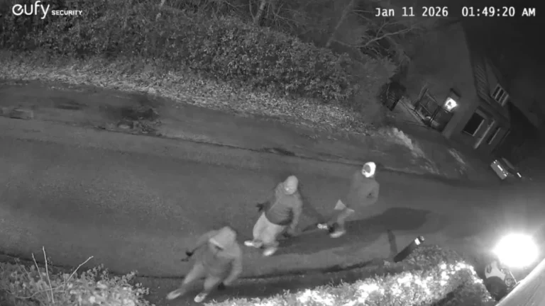 36b3f6a8-5644-430e-9be3-2662e029a612